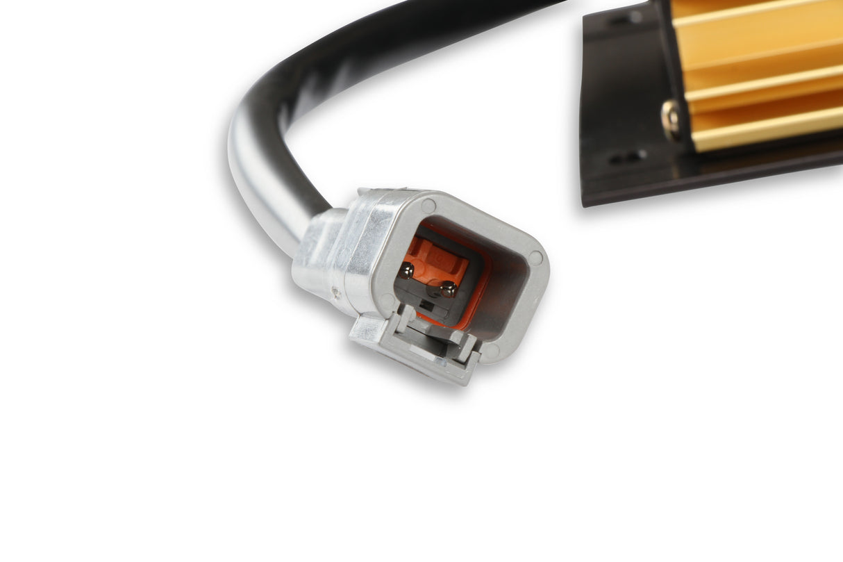 MSD Programmable Digital-7 Plus - 7531