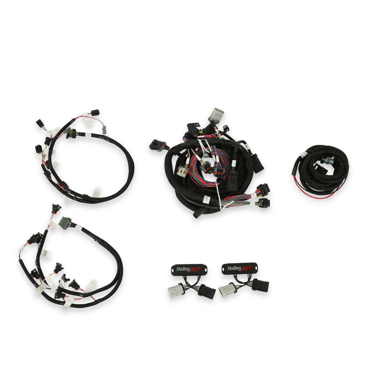Holley 558-505 Ford Modular 2 Valve EFI Harness Kit