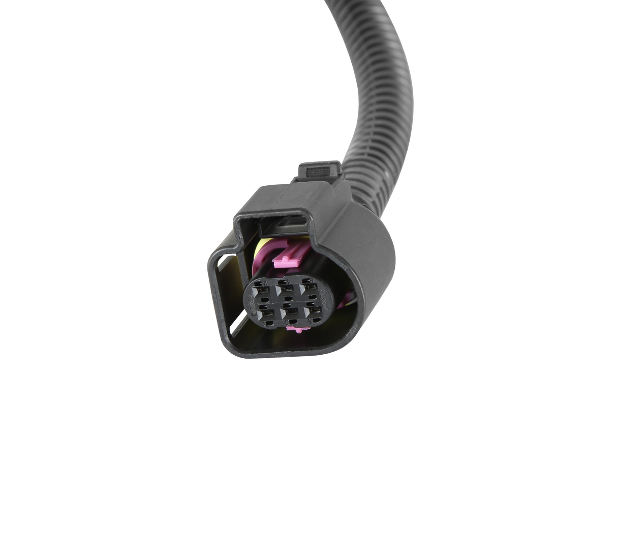 Holley 558-463 EFI Terminator X Wideband Adapter Harness