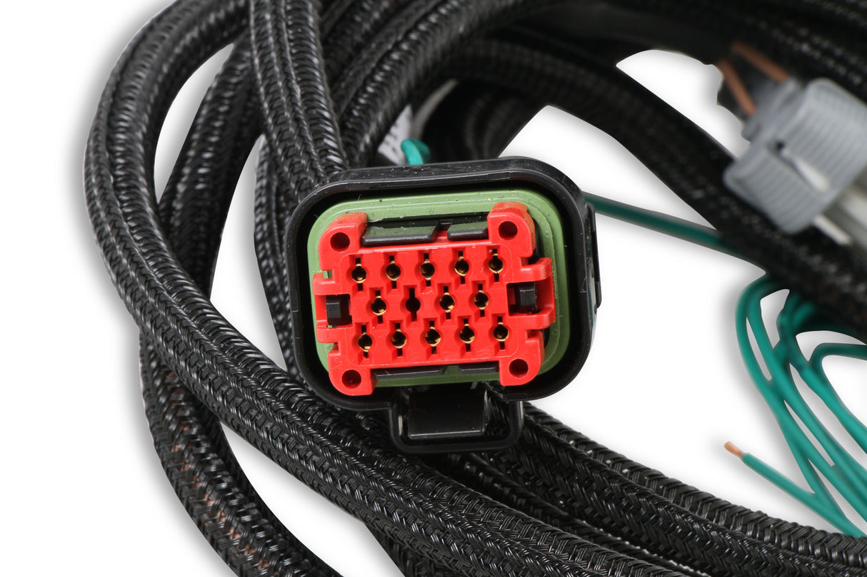 MSD EFI And LS Harness - Pro 600 - 80002