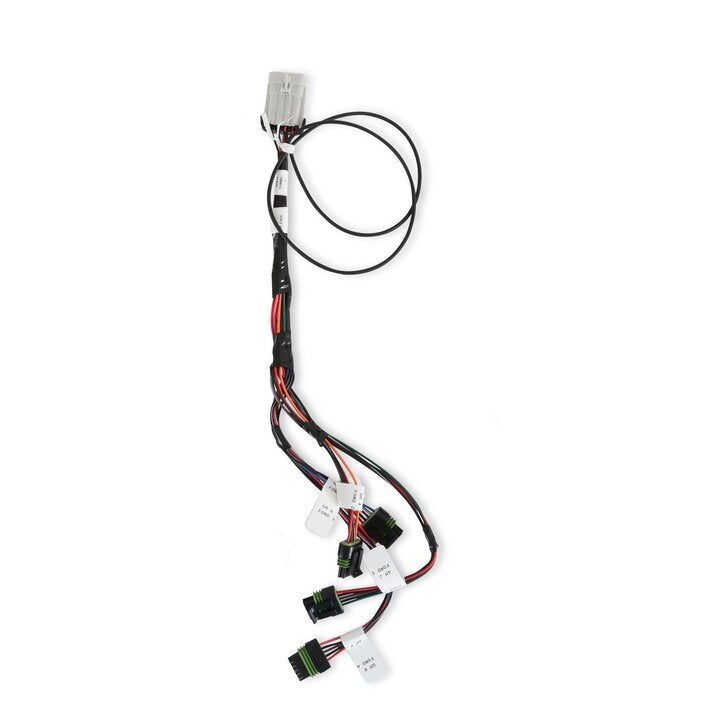 Holley 558-312 HP Smart Coil Ignition Harness