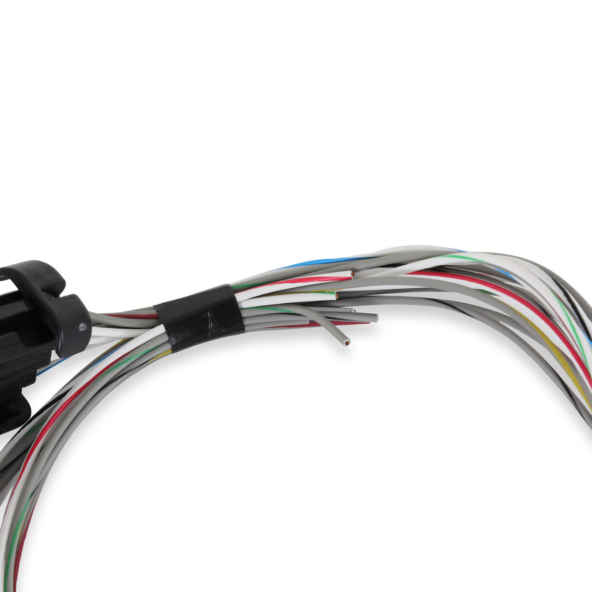 Holley 558-462 Terminator X Input/Output Harness