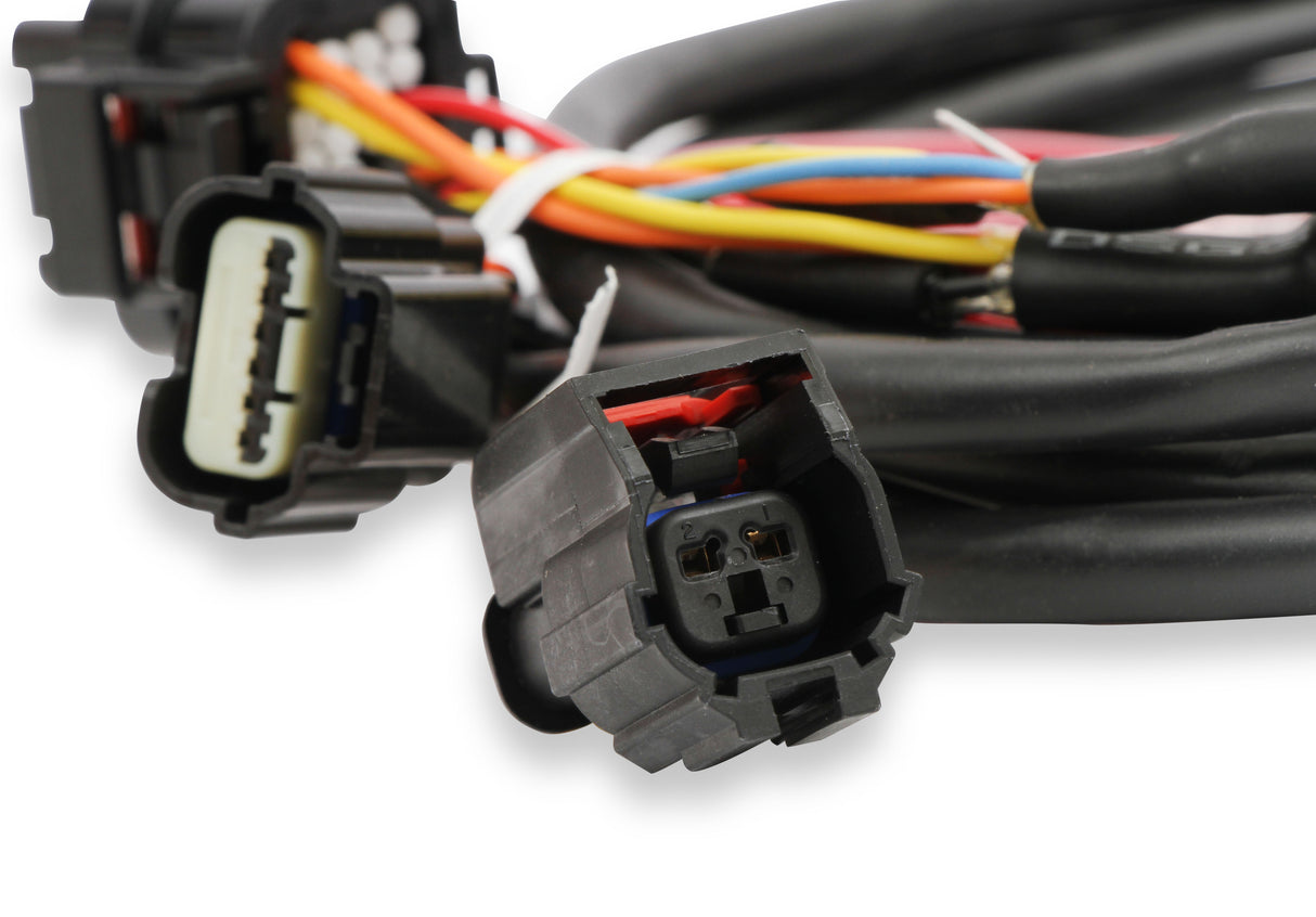 Holley 558-461 EFI Ford GT500 and 3V Drive-by-Wire Throttle Body Harness