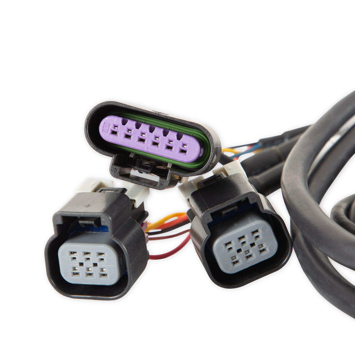 Holley 558-411 Dominator EFI GM Dual Drive-By-Wire Harness