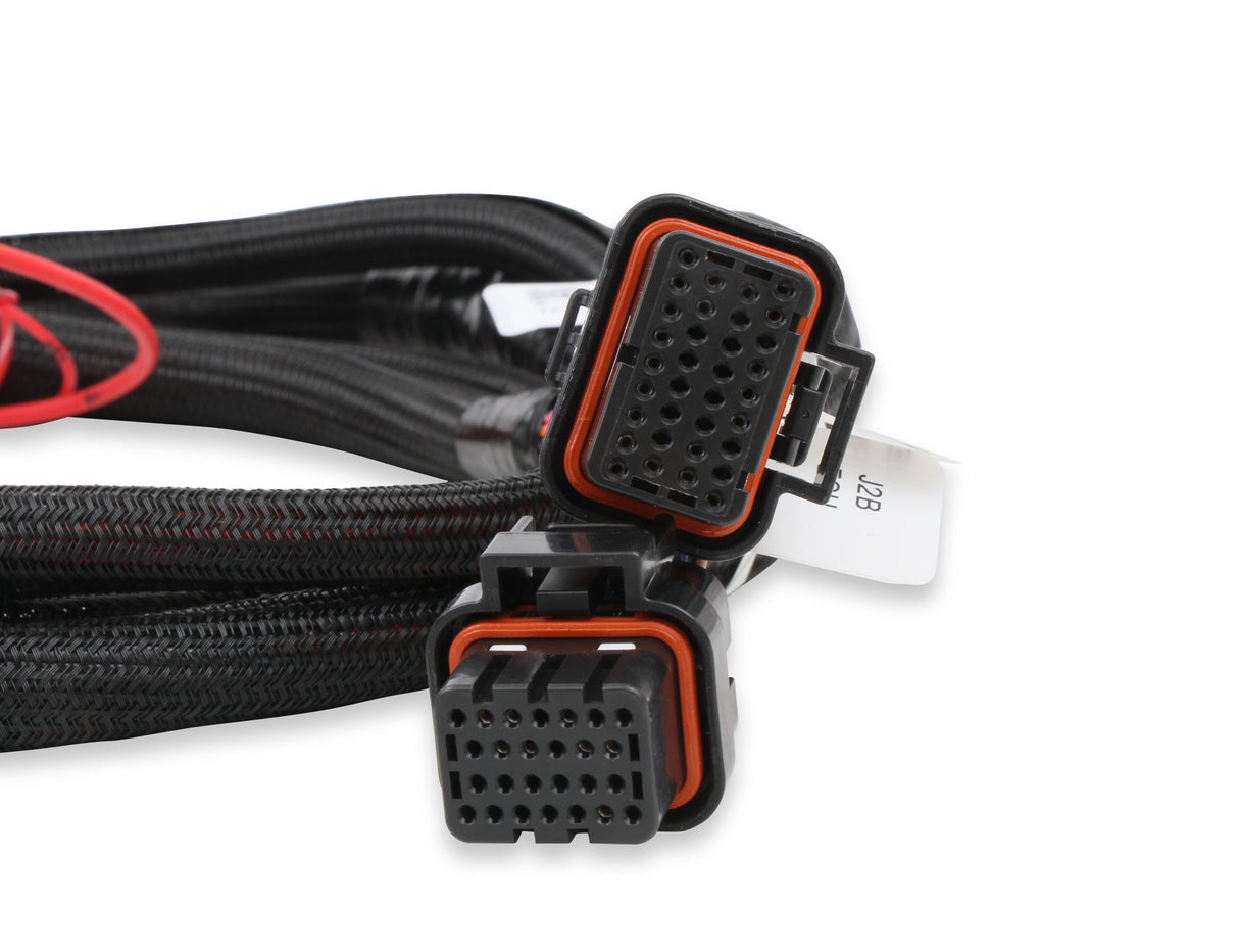 Holley 558-219 Injector Driver Harness