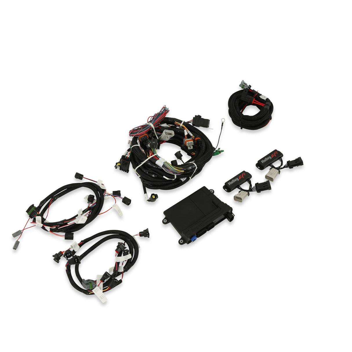 Holley 550-617N HP EFI ECU & Harness Kits