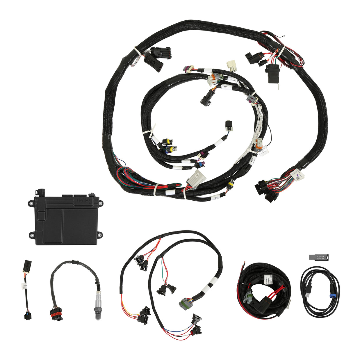 Holley 550-607 HP EFI ECU & Harness Kits