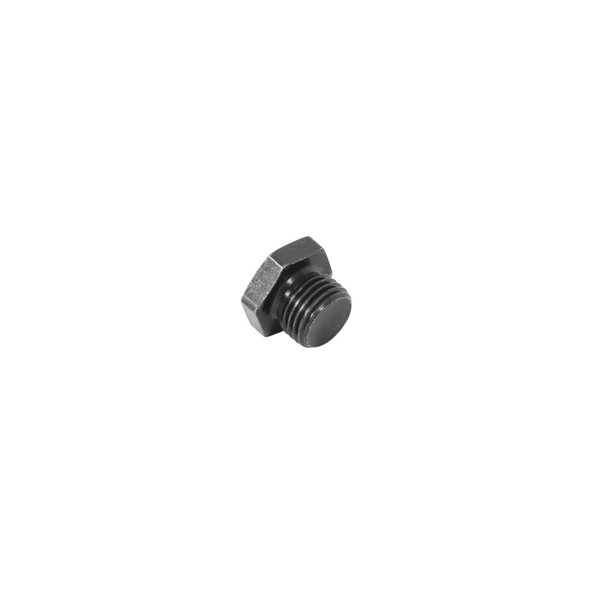 AEM High Volume Fuel Rail Port Plug - 25-604