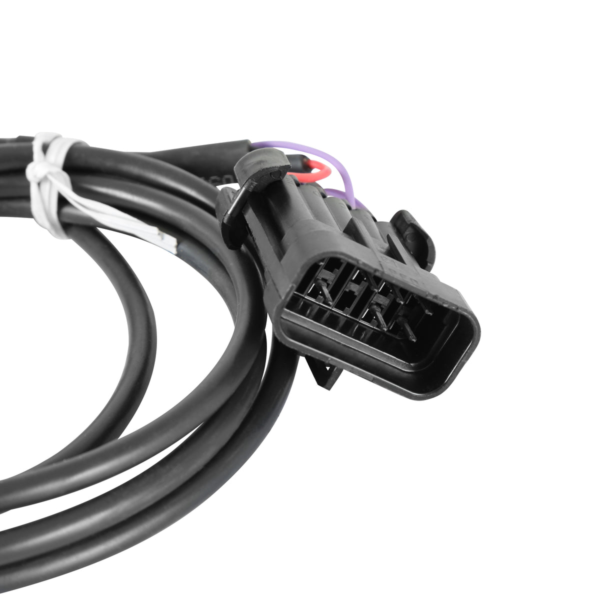 Holley 558-431 Crank/Cam Ign. Harness. Fully terminated harness.