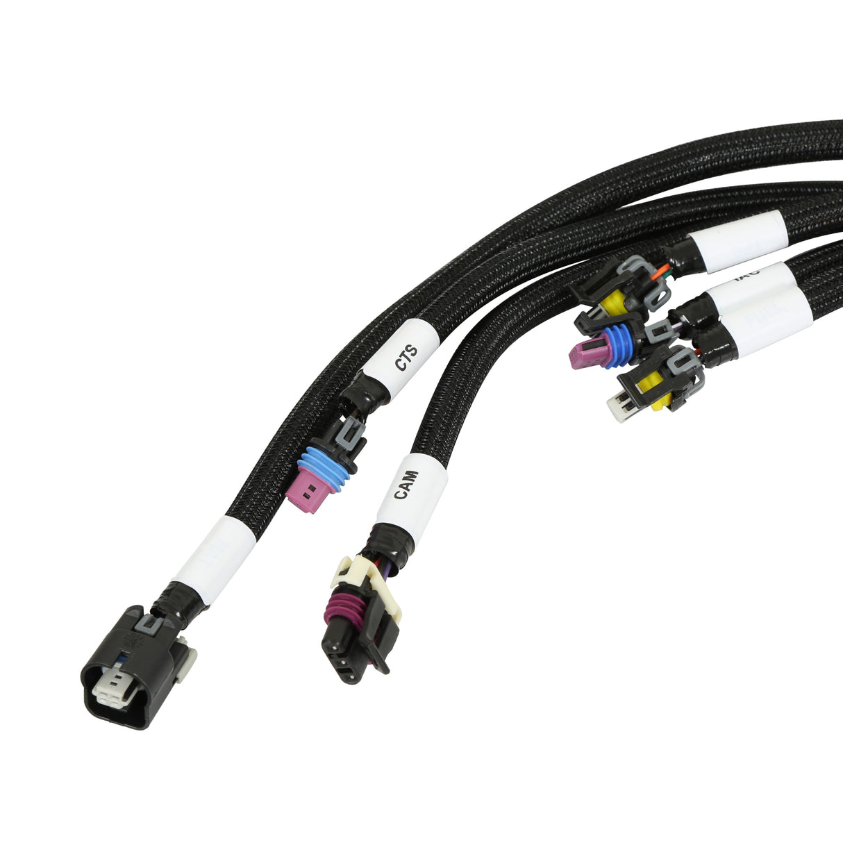 Holley 550-603 HP EFI ECU & Harness Kits