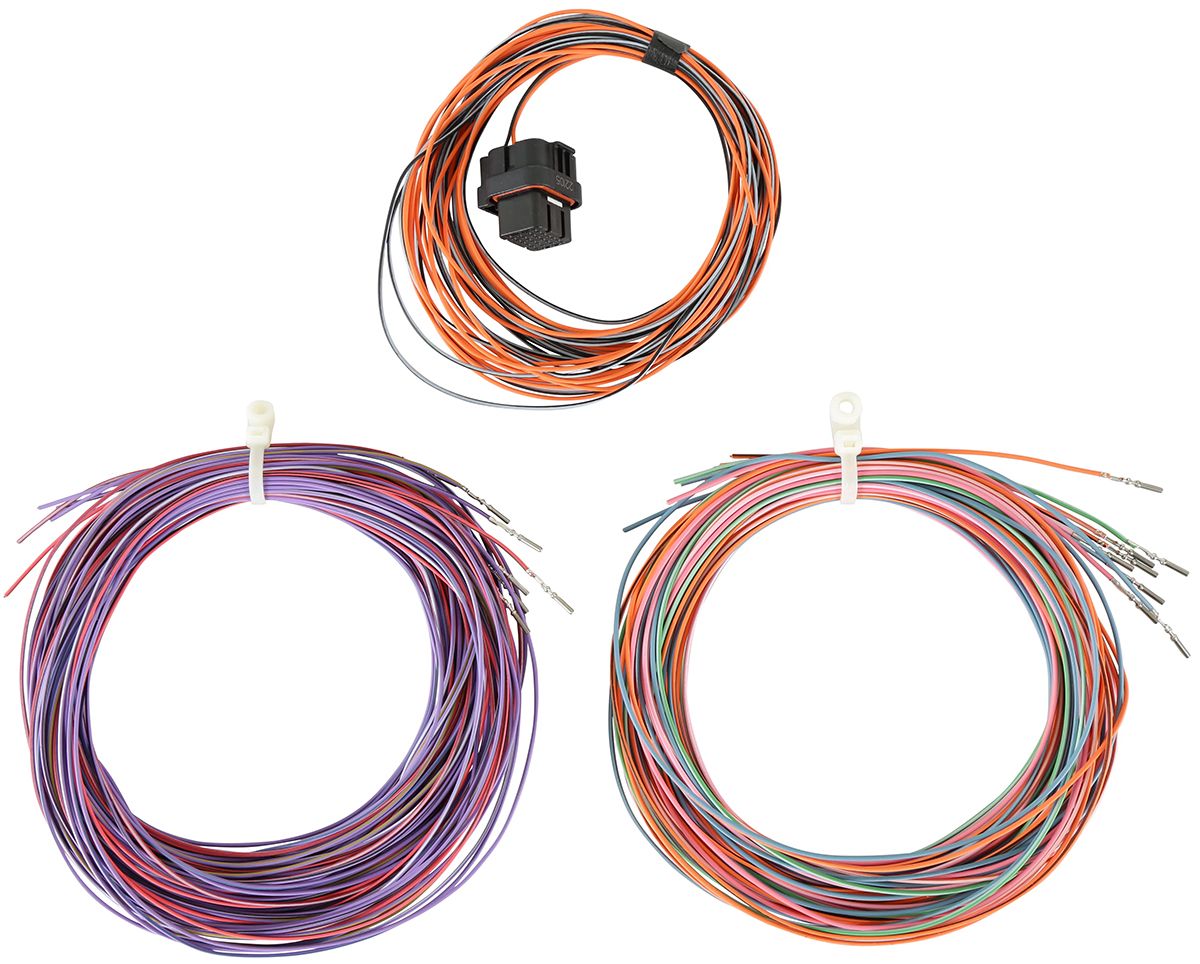 Holley Dominator EFI Auxiliary Harness (HO558-403) HO558-403