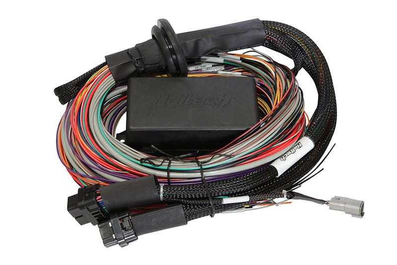 Haltech Elite 1500 + Premium Uni Wire-in Harness Kit 2.5m (8) HT-150904