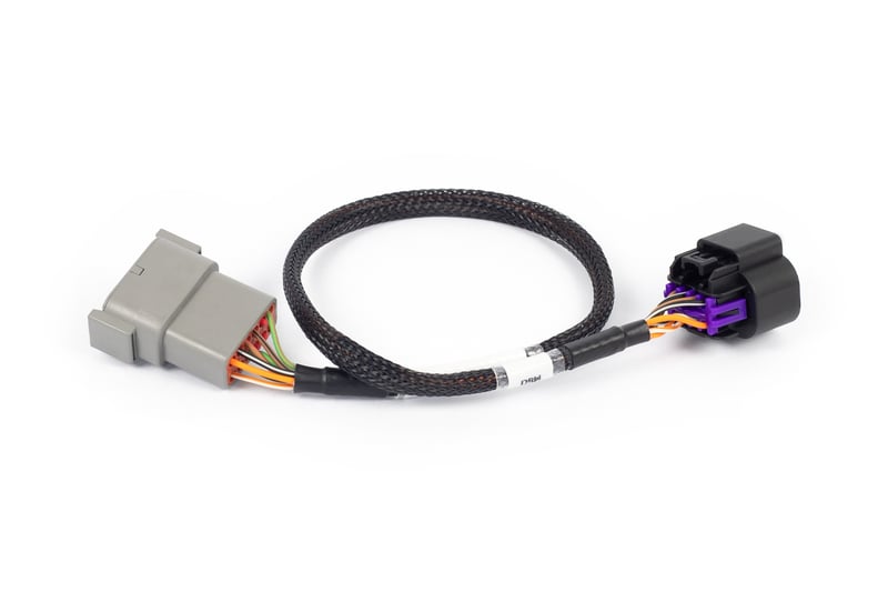 Haltech Nexus Rebel LS - 8-pin DBW adaptor