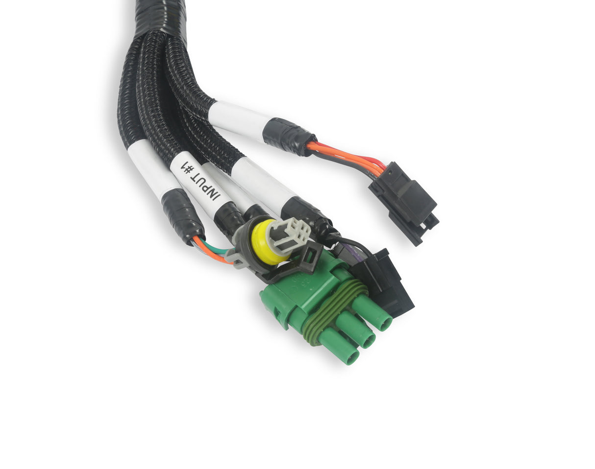 Holley 558-127 EFI Benchtop Harness