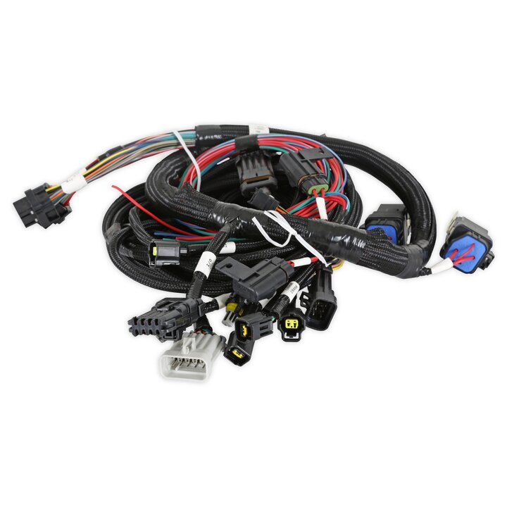 Holley 558-113 Ford Modular 2V and 4V Main Harness for use with Smart Coils