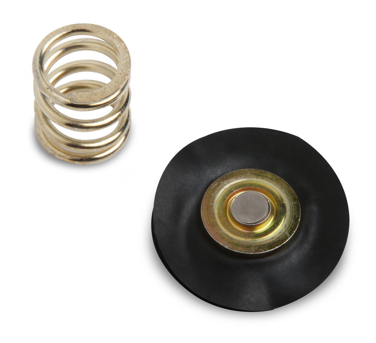 Holley 12-826 Regulator Rebuild Kit