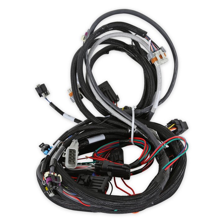 Holley 558-102 LS1/6 (24x/1x) Engine Main Harness