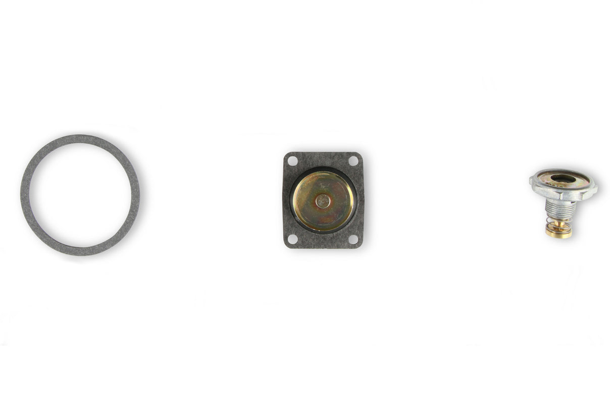 Holley 37-1542 Fast Kit Carburetor Rebuild Kit