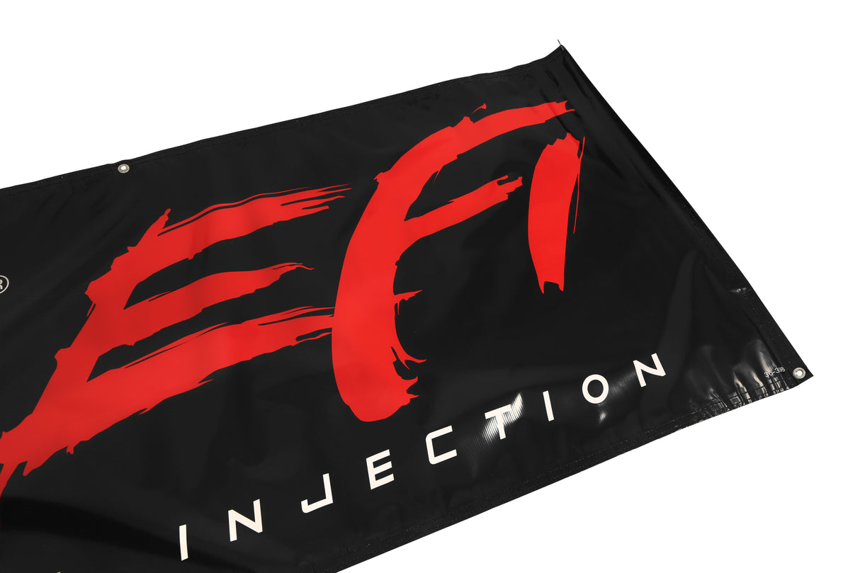 Holley 36-398 EFI Banner