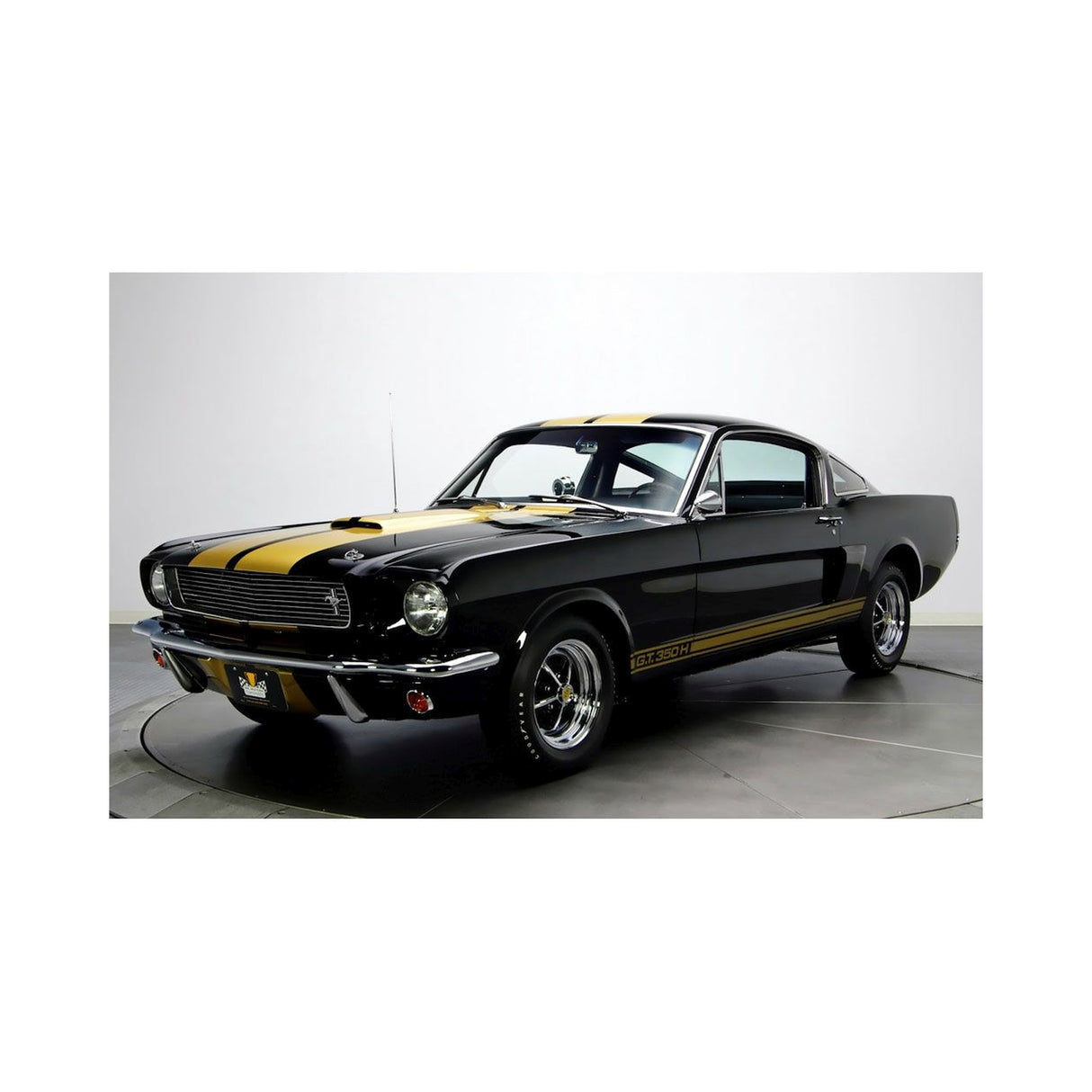 Scott Drake Rocker Strip Kit, Concours, Hertz Gold - S2MS-16224-G