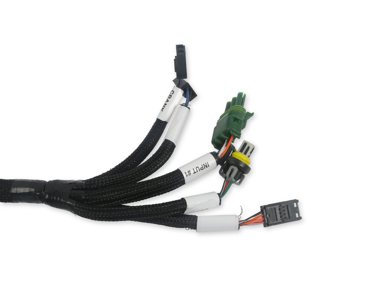 Holley 558-127 EFI Benchtop Harness