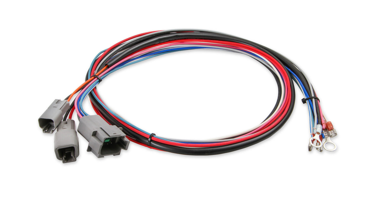 MSD Digital Programmable 6AL-2 - Red - 6530