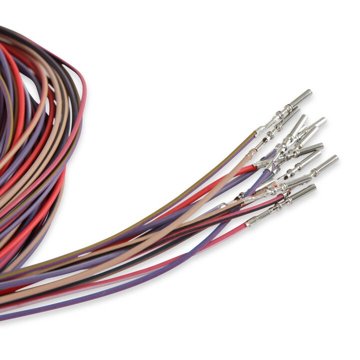 Holley 558-401 Dominator EFI Auxiliary Harness