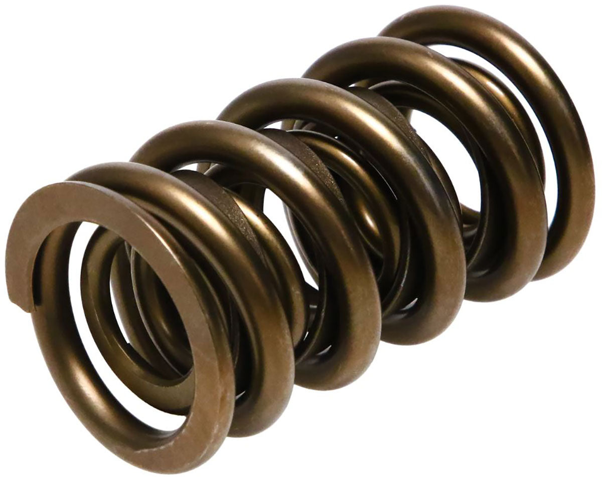 PAC 1900 Series Dual with Damper Valve Springs, 1.540" O.D, Set of 16 - PAC-1901-16 PAC-1901-16