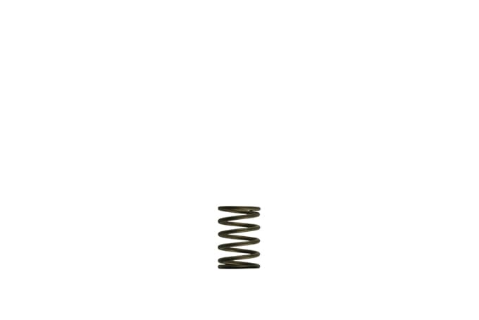 Turbosmart GenV WG38/40 3psi Black Inner Spring - TS-0550-3081