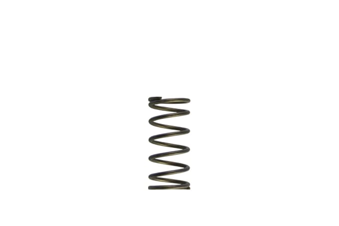 Turbosmart GenV WG60 5psi Purple Inner Spring - TS-0550-3090