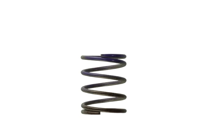 Turbosmart Gen4 / IWG WG38/40/45/50L 7PSI MIDDLE SPRING - BROWN/PURPLE - TS-0505-2003