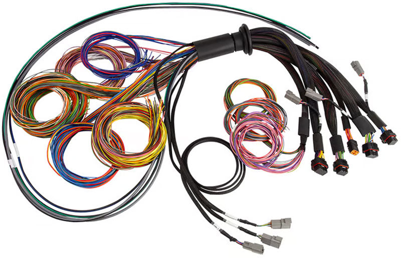 Haltech Nexus R5 Universal Wire-In harness - HHT-185200 HHT-185200