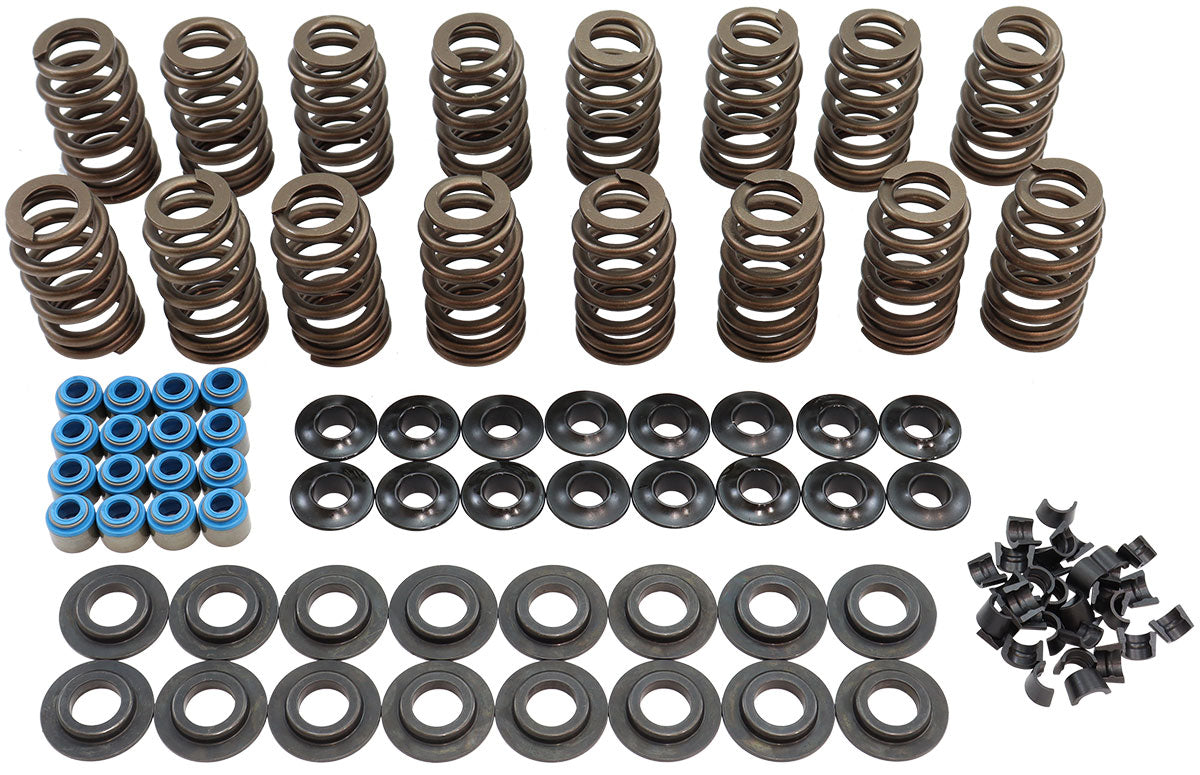 PAC RPM Series GM LS Beehive Spring Kit - PAC-KS14 PAC-KS14