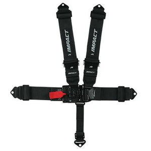 Racing Harness / Seatbelts