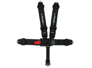 Racing Harness / Seatbelts