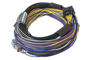 Wiring Harnesses