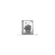 Scott Drake Door Panel Clip Kit - 380552-K