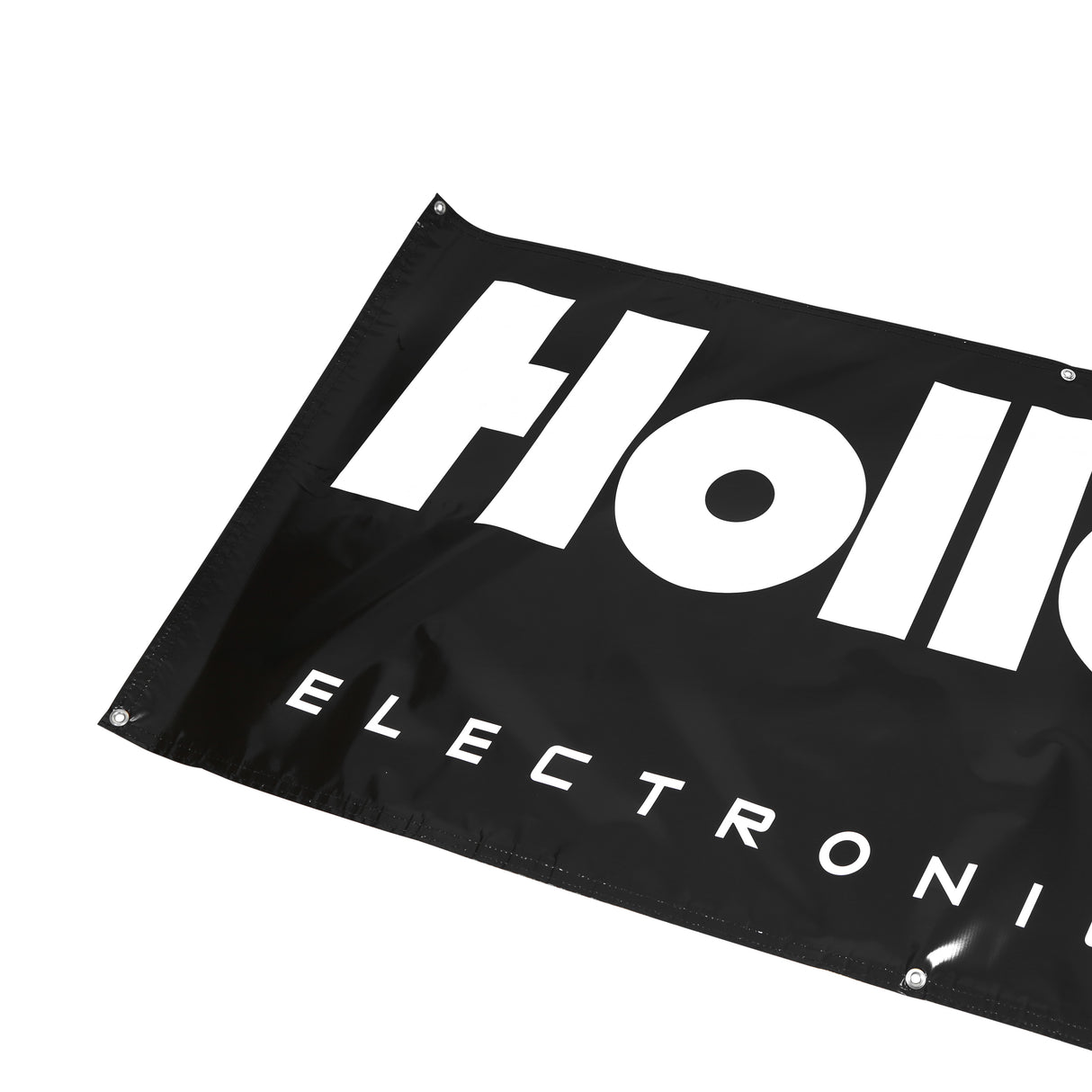 Holley 36-398 EFI Banner