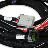 Holley 558-128 EFI Ford Foxbody Main Harness