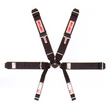 Simpson 3" Camlock Harness - 29110BKR2X