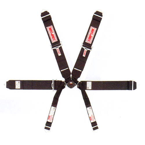 Simpson 3" Camlock Harness - 29110BKR2X