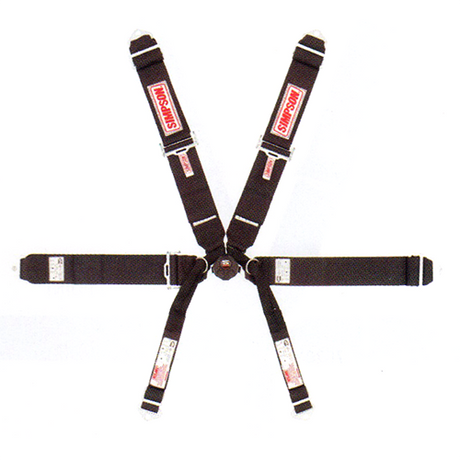 Simpson 3" Camlock Harness - 29110BKR2X