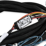 Holley 558-469 2018-2022 Ford DBW Harness