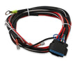 MSD Replacement Harness for PN 6201/62013 and PN 6425/64253 - 8897