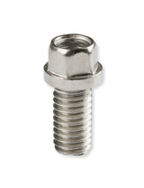 Mr Gasket Stainless Steel Header Bolts - 2210G