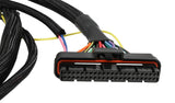 MSD 6-Hemi Harness 2003-2005 - 88863