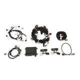 Holley 550-616N HP EFI ECU and Harness Kits