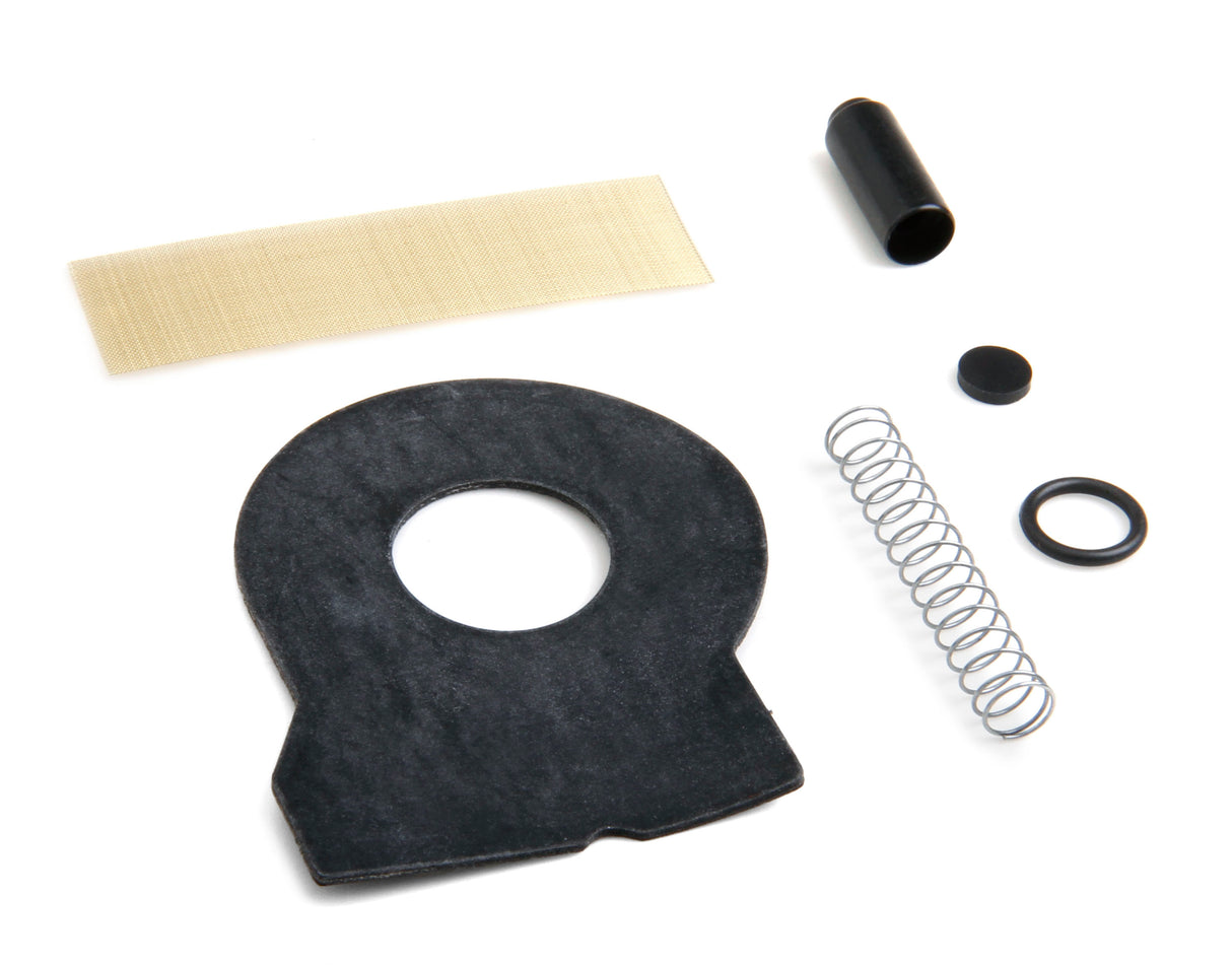 Holley 12-816 Fuel Pump Check Valve Kit