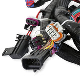 Holley 558-111 Main Engine Harness for 24x LS w/ TBI