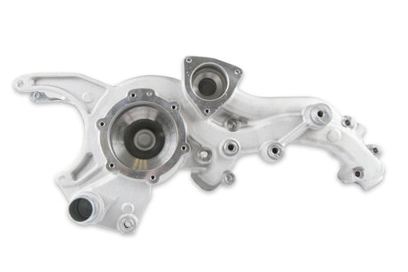 Holley MANIFOLD-BRACKET KIT, LT4 WET-NATURAL - 97-250